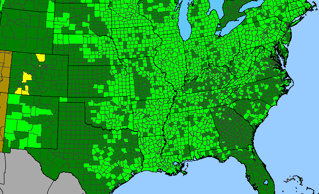 The range of Erigeron philadelphicus